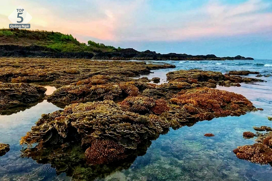 Bạn sẽ được chiêm ngưỡng 1 kiệt tác thiên nhiên tại Gành Yến