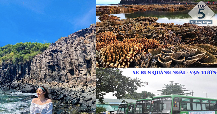 Top 5 tuyến xe buýt Quảng Ngãi giúp bạn khám phá đất Quảng tuyệt đẹp