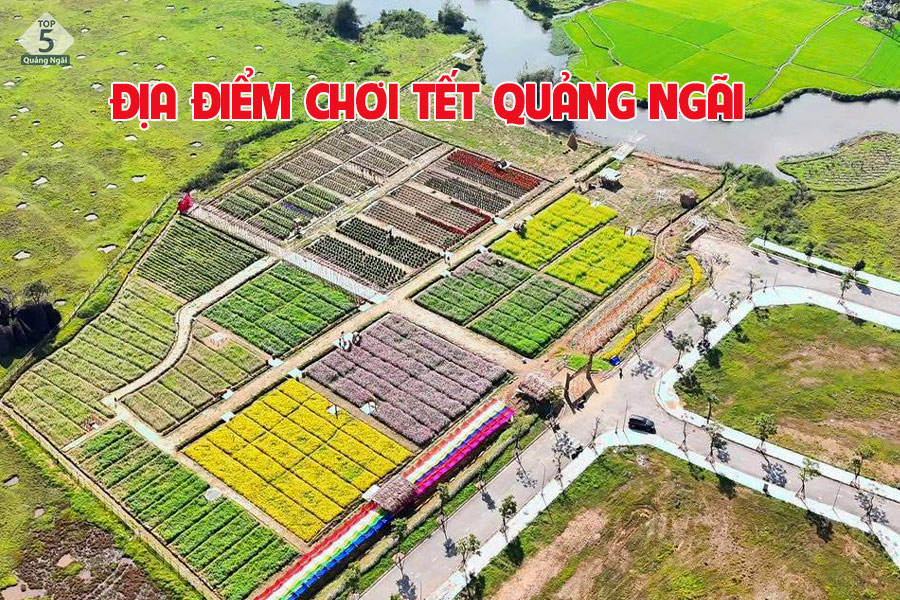 [Cập nhật] 5 địa điểm chơi Tết Quảng Ngãi mới nhất 2026