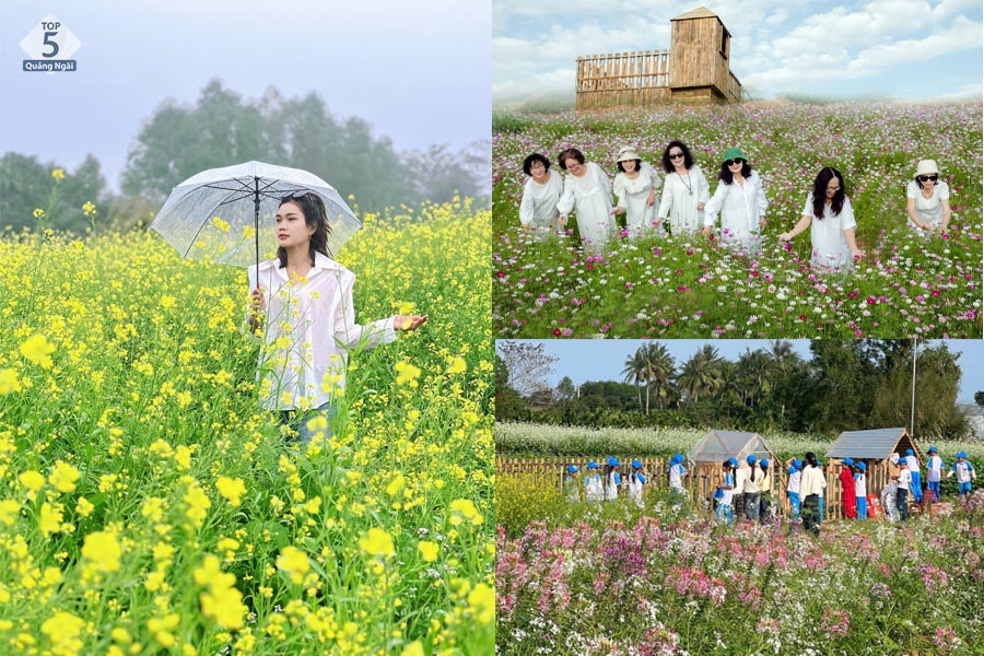 Ngoài ra còn rất nhiều loại hoa khác Ngoài ra còn rất nhiều loại hoa khác