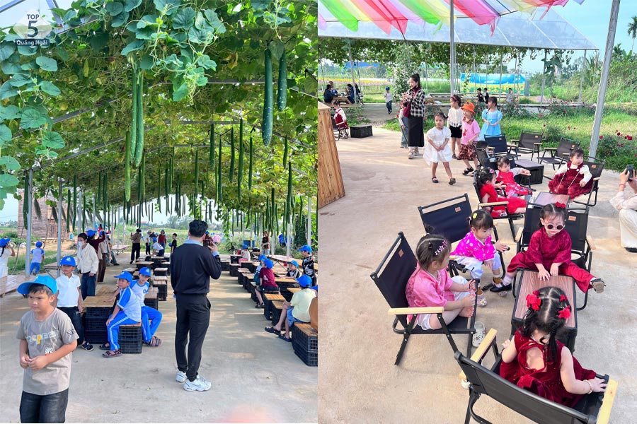 Giàn bầu lạ mắt và nơi phục vụ nước uống ở Trạm76 Giàn bầu lạ mắt và nơi phục vụ nước uống ở Trạm76