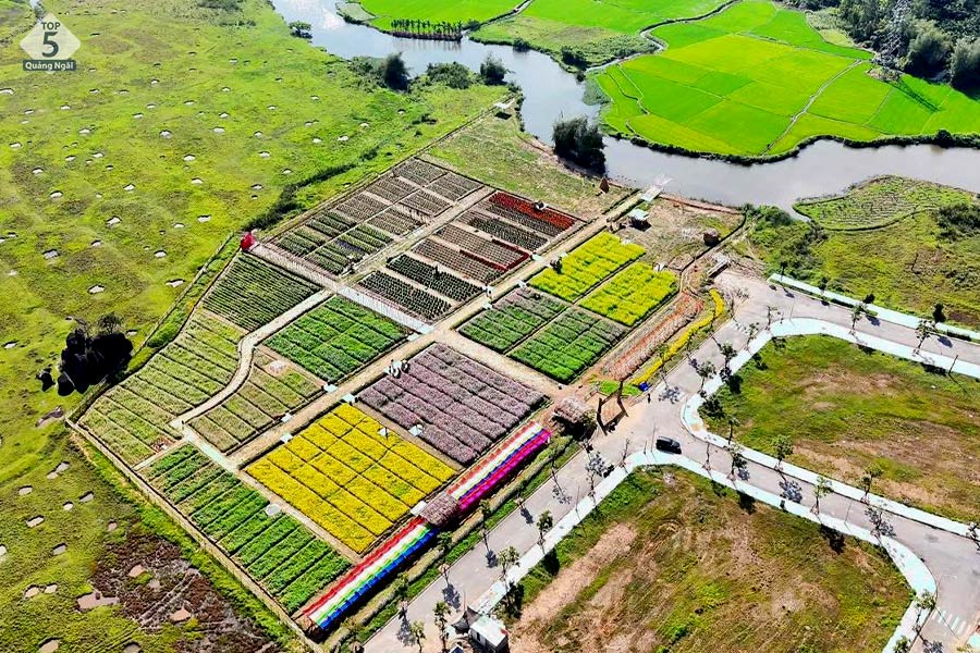 Tổng quan vườn khu checkin Phú Mỹ - địa điểm chơi tết Quảng Ngãi Tổng quan vườn khu checkin Phú Mỹ - địa điểm chơi tết Quảng Ngãi