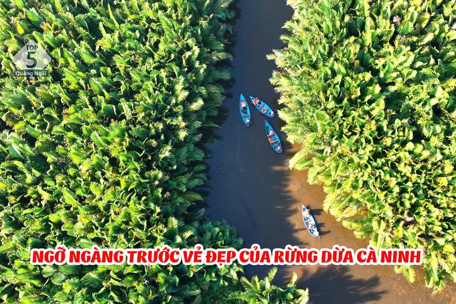 Rừng dừa nước Cà Ninh- bạt ngàn dừa nước một trời thơ