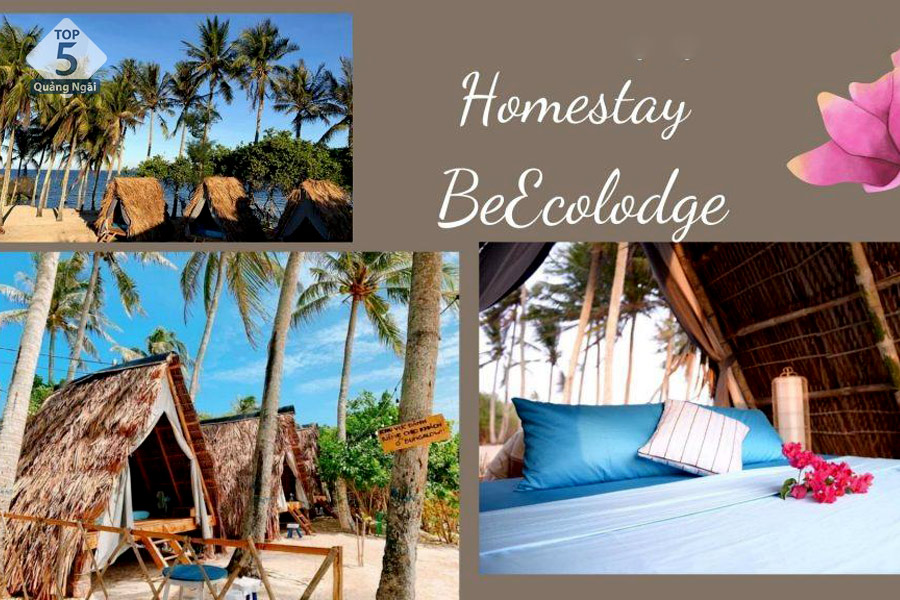Đảo bé ecolodge homestay Lý Sơn Quảng Ngãi
