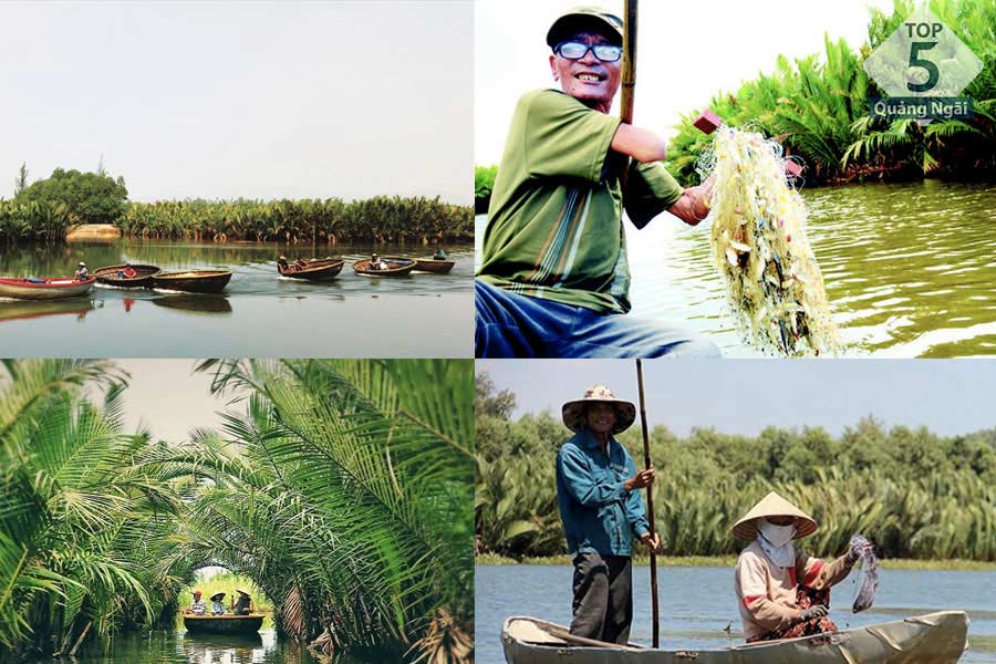 Rừng dừa nước Cà Ninh được xem là lá phổi xanh của người dân Bình Phước- Bình Sơn