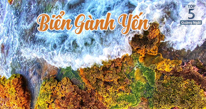 Biển Gành Yến – Tuyệt tác thiên nhiên ban tặng cho Bình Sơn Quảng Ngãi