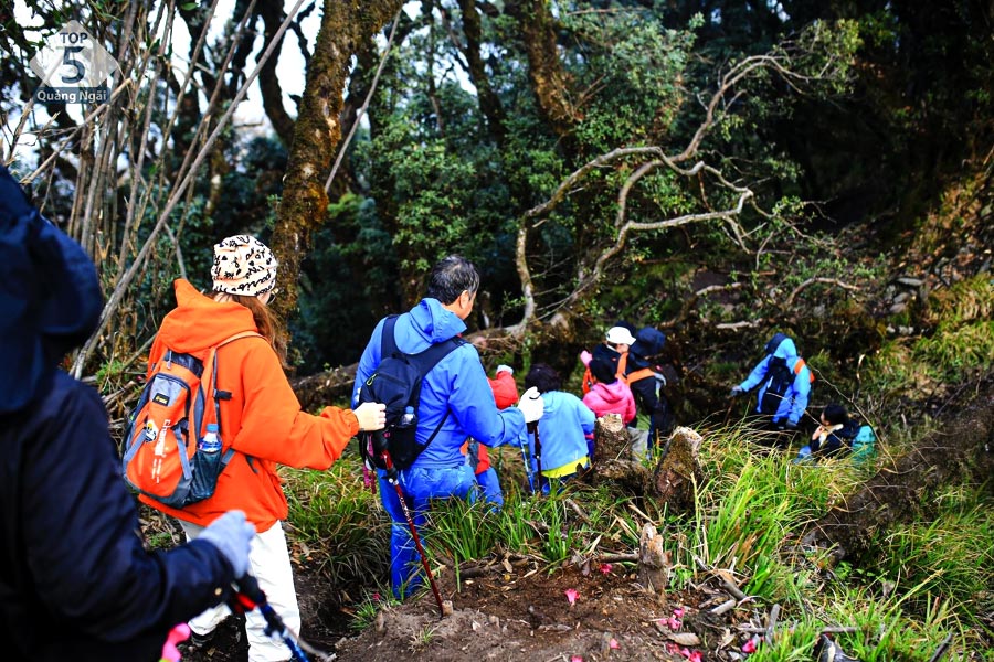 Trekking khám phá rừng nguyên sinh tại Kon Chư Răng là hoạt động được rất nhiều du khách yêu thích