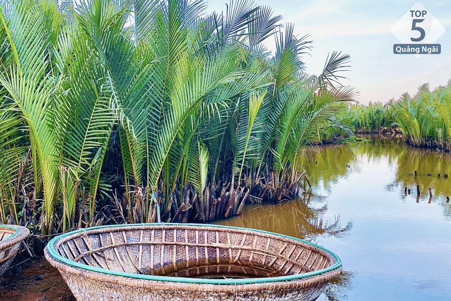 Rừng dừa Cà Ninh là một điểm đến bạn có thể kết hợp khi du lịch biển Lệ Thuỷ