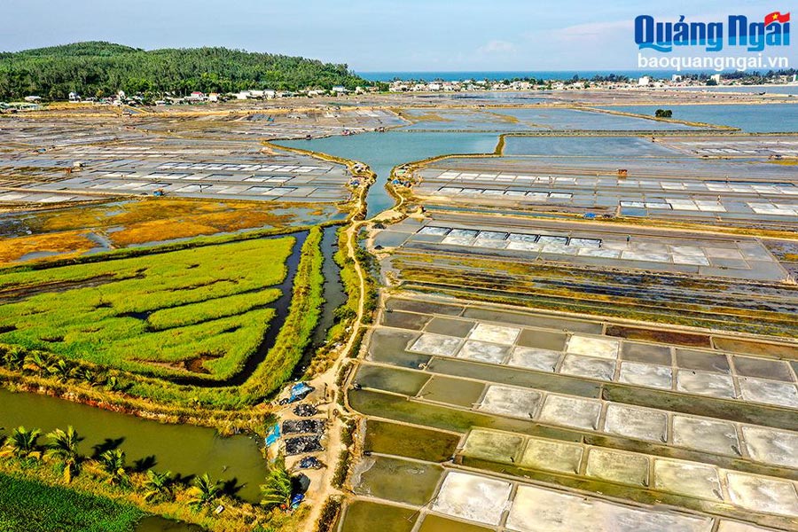 Bạn có thể chọn nhiều loại phương tiện để đến được đồng muối Sa Huỳnh