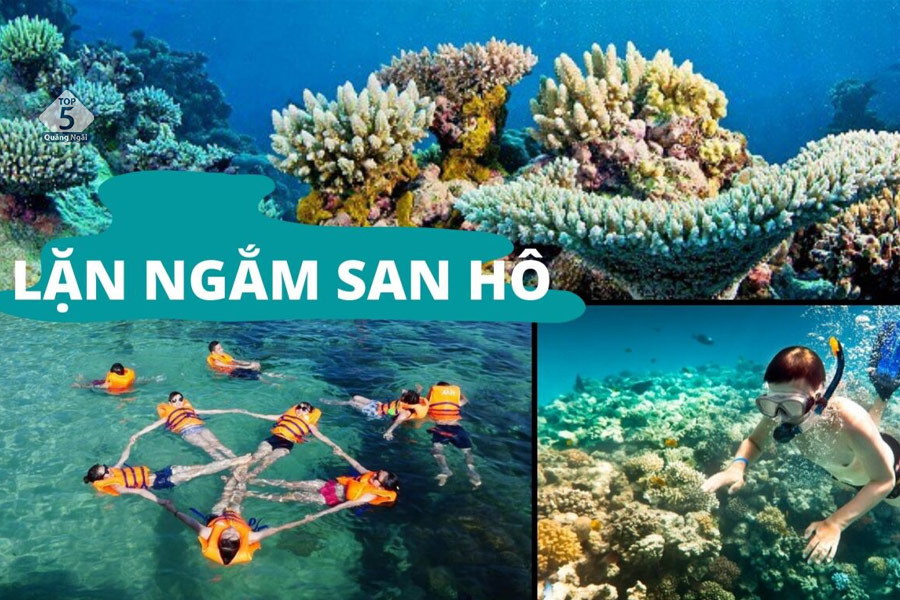 Lặn ngắn san hô Hang Câu đảo Lý Sơn Quảng Ngãi 