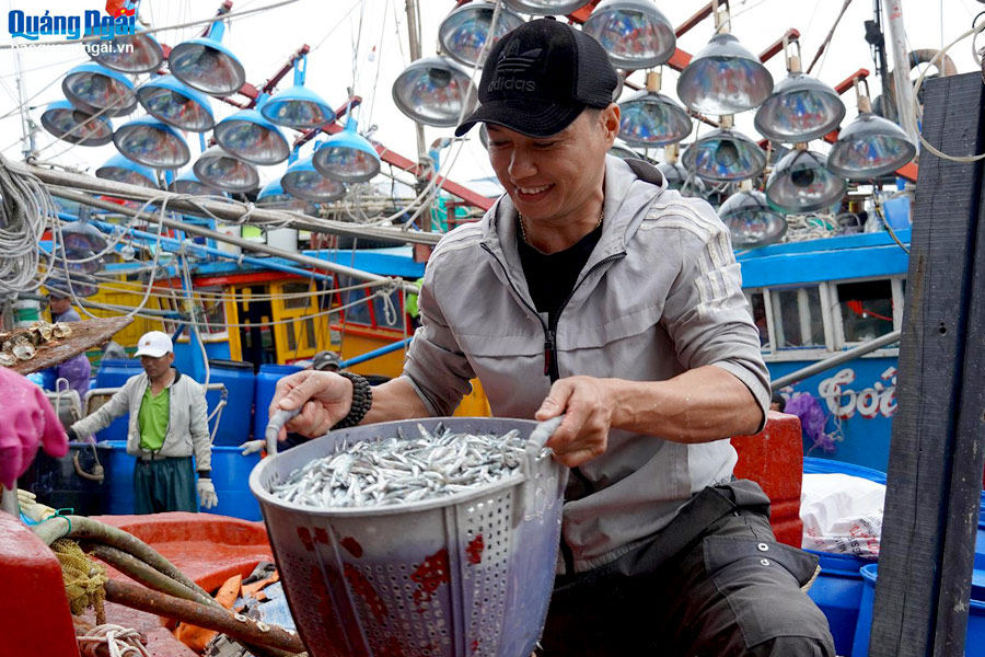 Những nụ cười tươi tắn của ngư dân khi bội thu