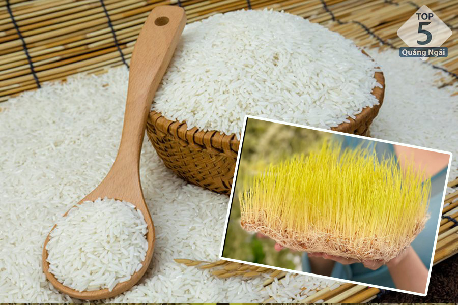Mạch nha truyền thống được làm 100% từ mộng lúa và nếp thơm