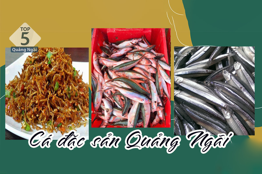 Top những món cá đặc sản Quảng Ngãi gây nghiện cho thực khách