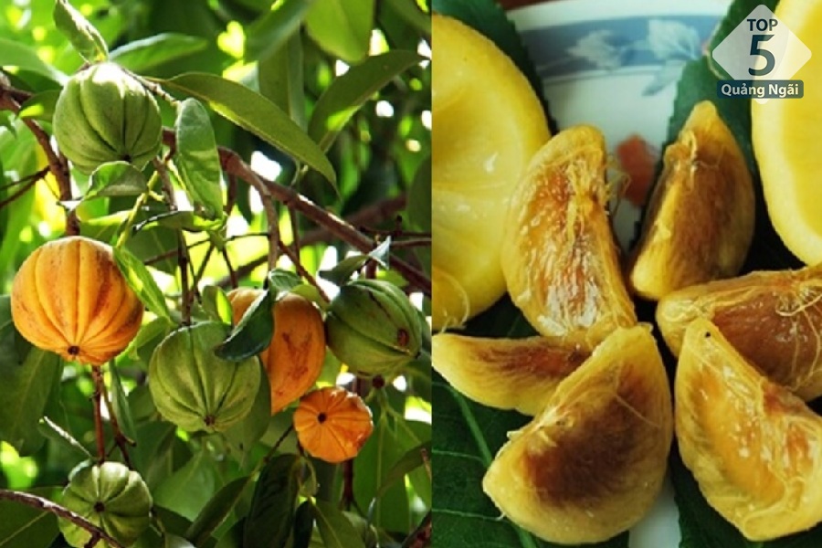 Trái bứa rừng - loại trái cây đặc sản chỉ có ở vùng cao Quảng Ngãi