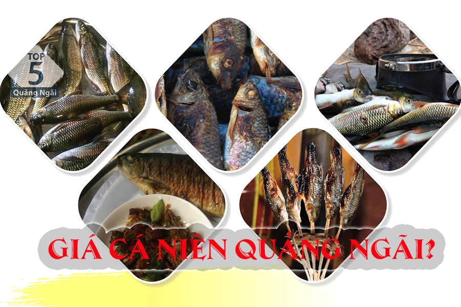 Tìm hiểu về cá Niên: Giá cá Niên, những món ăn từ cá Niên Quảng Ngãi