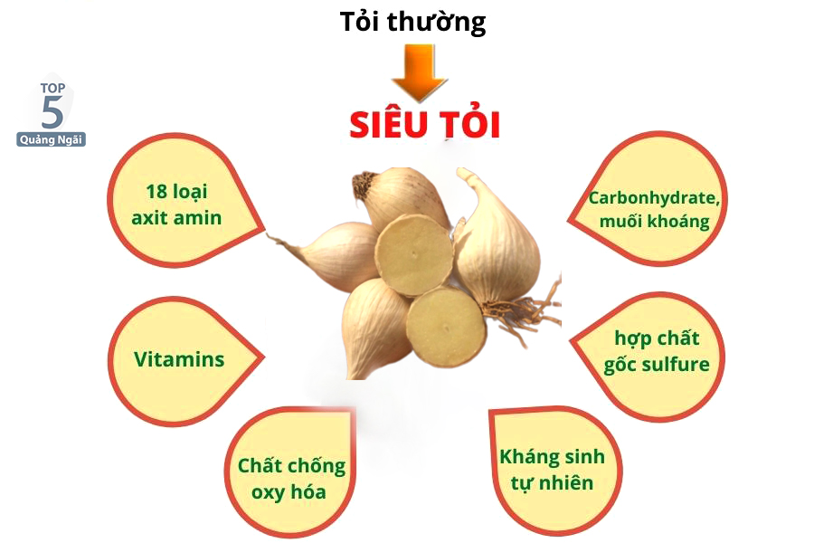 Thành phần cực tốt cho sức khỏe có trong tỏi cô đơn Lý Sơn 