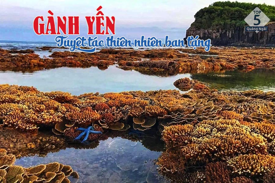 Vẻ đẹp tuyệt sắc tại Gành Yến khiến nhiều du khách mê mẩn 