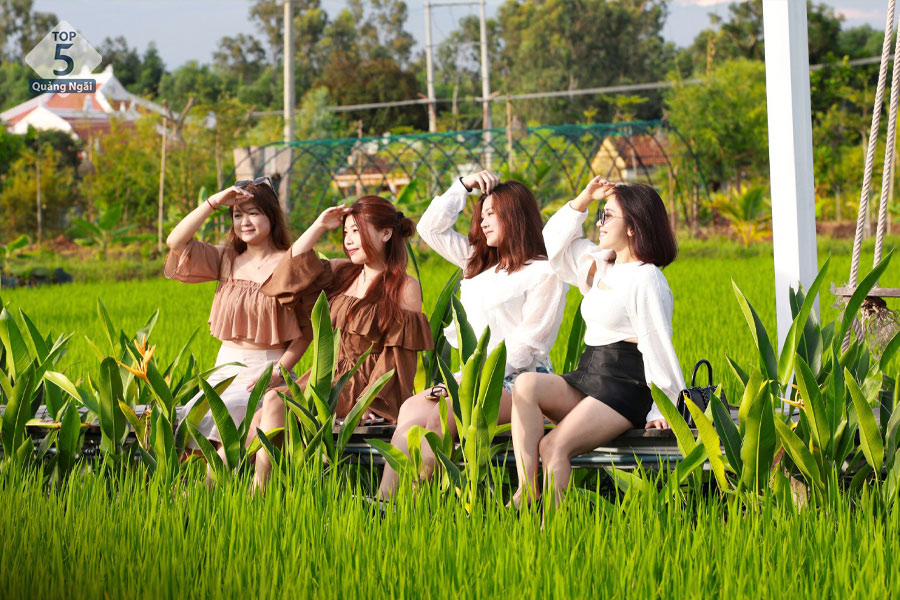 chiếc cầu gỗ bên cánh đồng lúa tại cát mộc farm