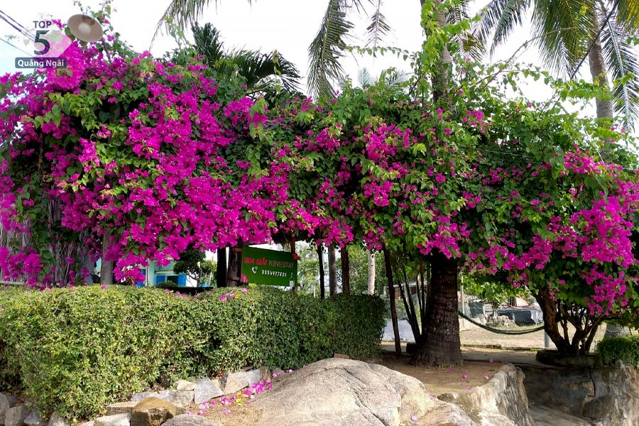 Chiếc cổng xinh xắn tại một chiếc homestay tại Làng Gò Cỏ