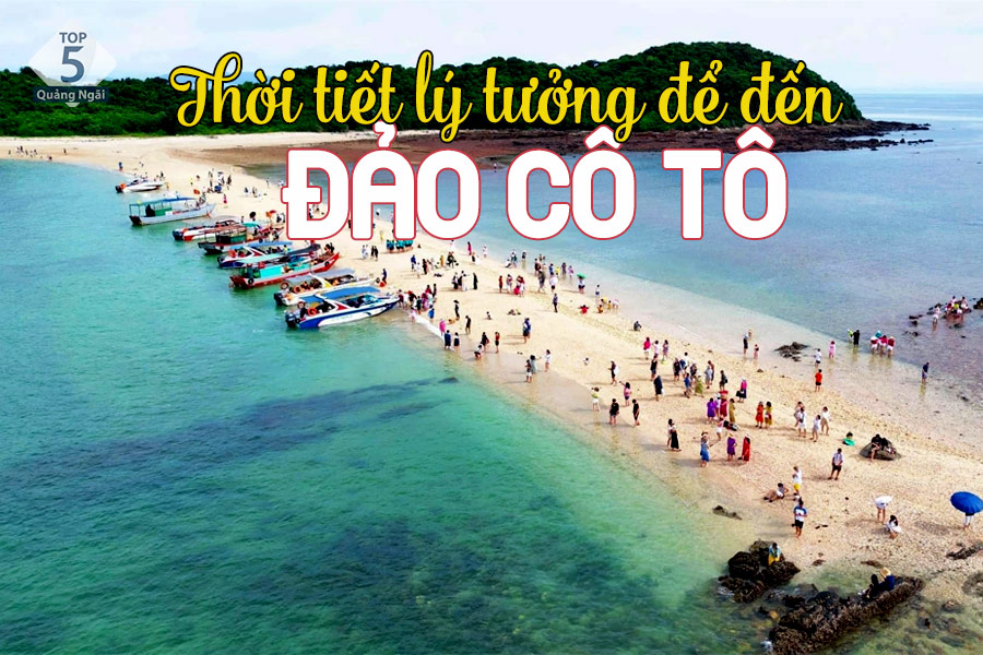 Nên đến Đảo Cô Tô vào mùa hè để tận hưởng trọn vẹn vẻ đẹp nơi đây Nên đến Đảo Cô Tô vào mùa hè để tận hưởng trọn vẹn vẻ đẹp nơi đây