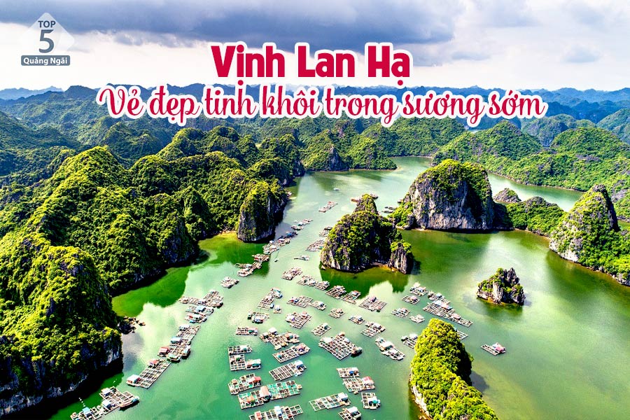 Vịnh Lan Hạ - vẻ đẹp tinh khôi trong sương sớm