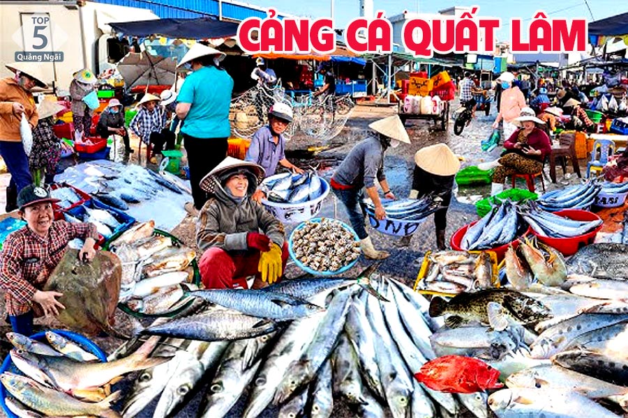 Ngoài chợ hải sản truyền thống bạn cũng có thể ghé tham quan và mua tại cảng cá Quất Lâm Ngoài chợ hải sản truyền thống bạn cũng có thể ghé tham quan và mua tại cảng cá Quất Lâm