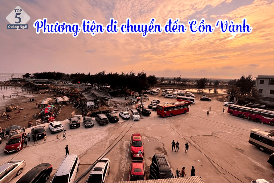 Có khá nhiều phương tiện cho bạn lựa chọn để di chuyển đến Cồn Vành