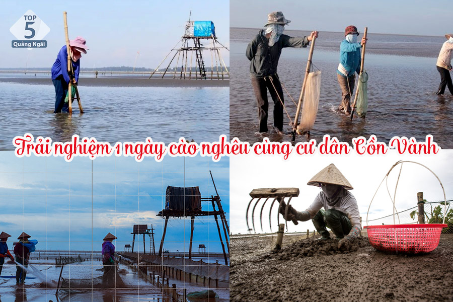 Trải nghiệm nghề cào ngao tại bãi biển Cồn Vành khá thú vị