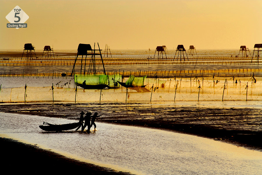 kéo cá sáng sớm tại biển Đồng Châu kéo cá sáng sớm tại biển Đồng Châu