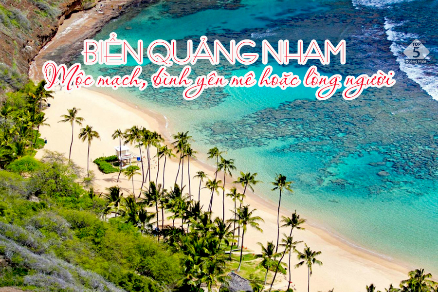 Khám Phá Bãi Biển Quảng Nham Thanh Hóa – Điểm Đến Hoang Sơ Thú Vị