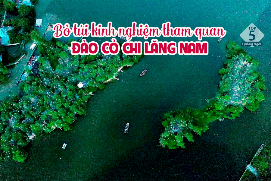 Kinh Nghiệm Tham Quan Đảo Cò Chi Lăng Nam Từ A–Z