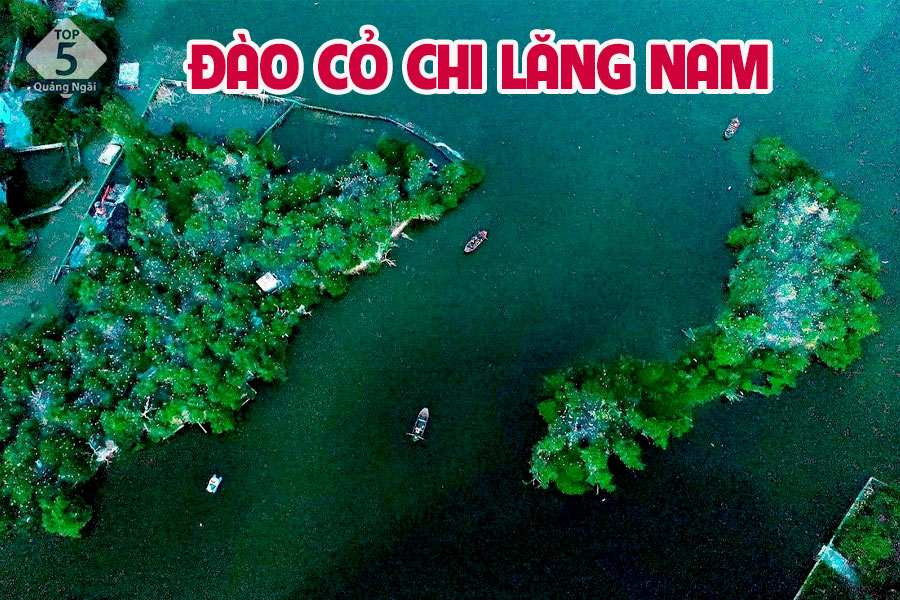 Đào Cỏ Chi Lăng Nam điểm đến du lịch nổi tiếng tại Hải Phòng 