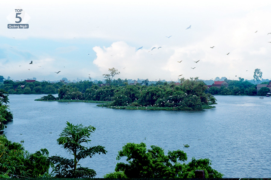 Đào Cỏ Chi Lăng Nam trước đây chỉ là 1 hồ nước lớn được gọi là hồ An Dương