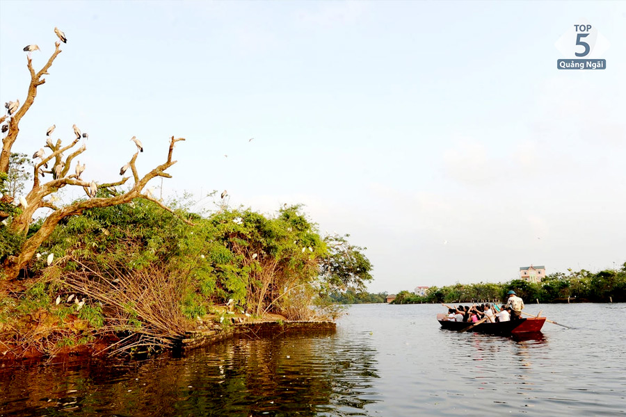 Nếu đi nhóm đông bạn có thể chọn thuyền lớn để cùng nhau ngắm cò vạt trên đảo cò