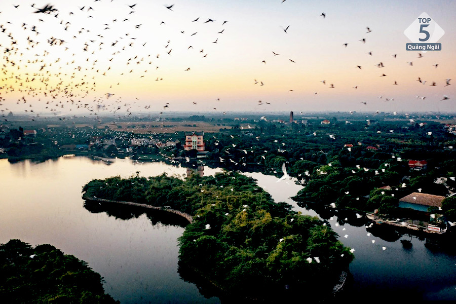 Mùa hè là thời điểm lý tưởng nhất để tham quan trải nghiệm đào cỏ Chi Lăng