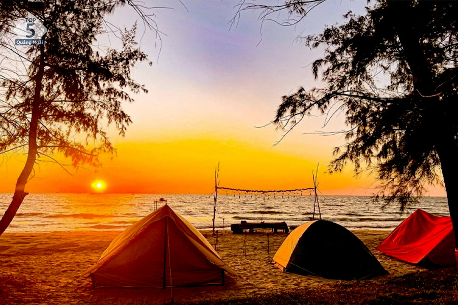 Cắm trại trên bãi cát trắng mịn dưới những rặng hàng phi lao sẽ rất chill đấy Cắm trại trên bãi cát trắng mịn dưới những rặng hàng phi lao sẽ rất chill đấy