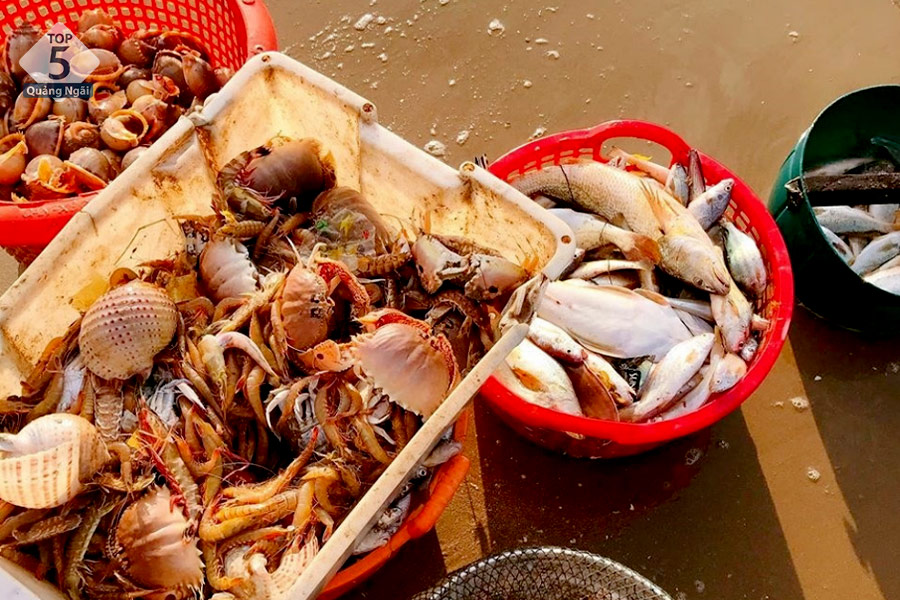 Đi biển Lộc Bình nhất định phải thử nguồn hải sản phong phú nơi đây