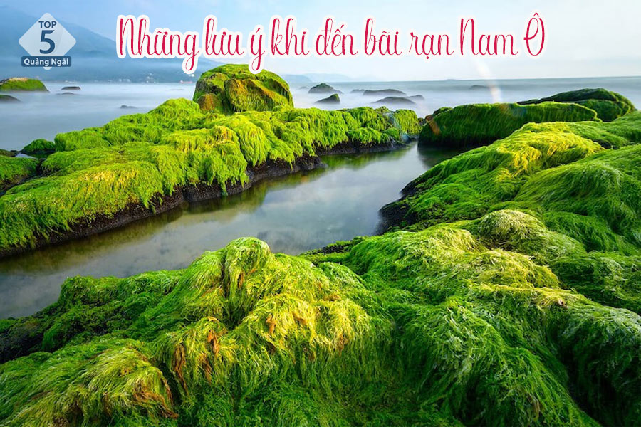 Hãy cẩn trọng khi di chuyển trên những tảng đá vì chúng khá trơn trợt