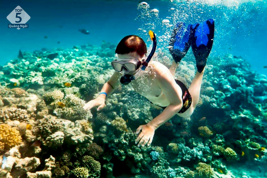 Lặn ngắm san hô rực rỡ sắc màu tại Ghềnh Bàng Đà Nẵng Lặn ngắm san hô rực rỡ sắc màu tại Ghềnh Bàng Đà Nẵng