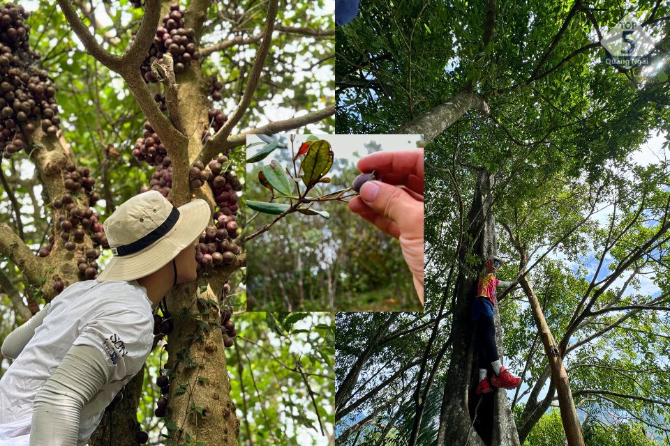Hệ thực vật sinh động phong phú tại thảo nguyên hoang sơ Hệ thực vật sinh động phong phú tại thảo nguyên hoang sơ